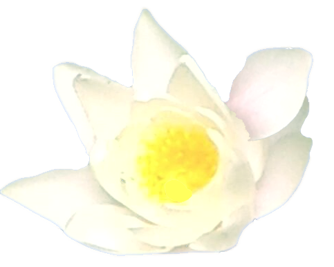 Bewegung für Körper und Geist